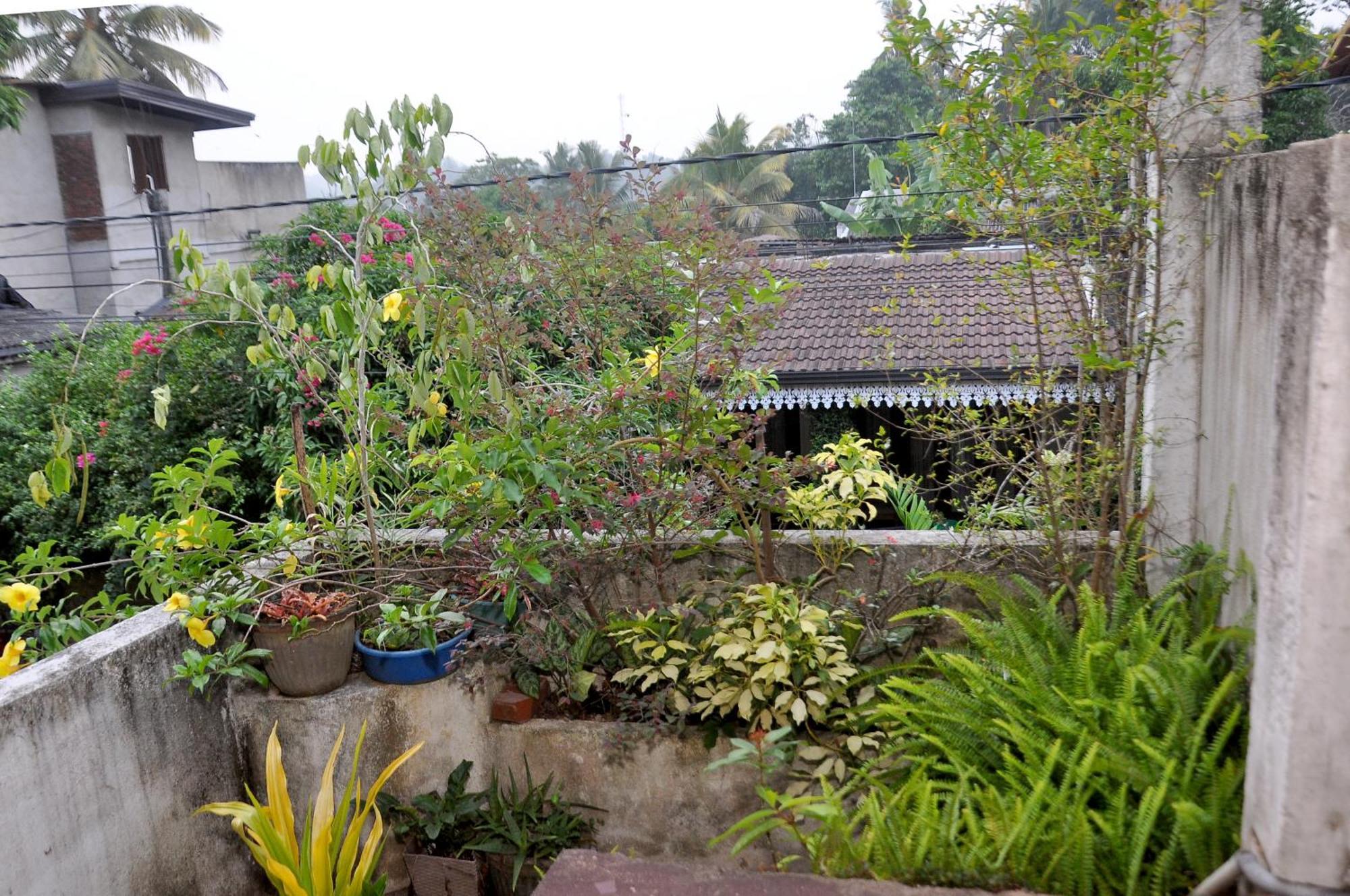 Golden Shower Inn Kandy Exteriör bild